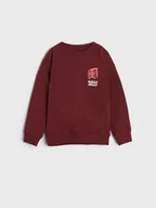 Swetry dla chłopców - Sinsay - Bluza - czerwony - miniaturka - grafika 1