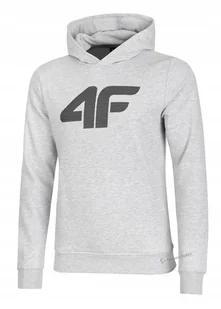 4F OCIEPLANA MÄSKA BLUZA DRESOWA Z KAPTUREM KANGURKA / rozm XXL - Bluzy męskie 4F OCIEPLANA MÄSKA BLUZA DRESOWA Z KAPTUREM KANGURKA / rozm XXL - Bluzy męskie - miniaturka - grafika 1