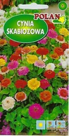 Nasiona i cebule - Cynia skabiozowa mieszanka 1 g POLAN - miniaturka - grafika 1