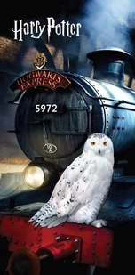 Ręcznik kąpielowy Harry Potter "Hedwig", 70 x 140 cm - Okrycia kąpielowe dla dzieci - miniaturka - grafika 1