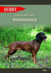 Król Magdalena Posokowce - Rośliny i zwierzęta - miniaturka - grafika 1