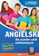 E-booki - języki obce - Angielski dla uczniów szkół podstawowych - miniaturka - grafika 1