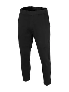 Spodnie sportowe męskie - 4F Spodnie dresowe w kolorze czarnym - grafika 1