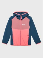 Odzież trekkingowa dziecięca - Kurtka softshell Jack Wolfskin - miniaturka - grafika 1