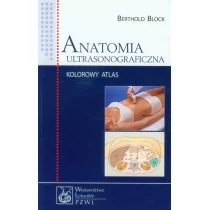 Anatomia ultrasonograficzna - Block Berthold