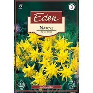 Nasiona i cebule - Narcyz pełny niski Rip Van Winkle 5 sztuk Eden - miniaturka - grafika 1