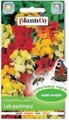Nasiona i cebule - Lak pospolity 1 g PLANTICO - miniaturka - grafika 1