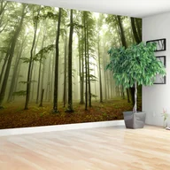 Fototapety - Fototapeta Mglisty las - miniaturka - grafika 1