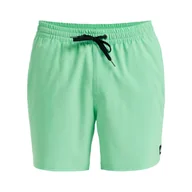 Kąpielówki męskie - Szorty kąpielowe dla Mężczyzn SURFSILK SOLID 16" Zielony - miniaturka - grafika 1