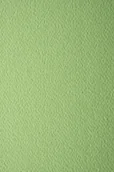 Dekoratorstwo - [ MB.14 ] Papier Prisma 220g Pistacchio j. zielony - 10A4 / al *  Papier Prisma 220g Pistacchio pak. 10A4 - miniaturka - grafika 1