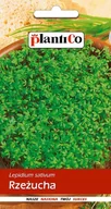 Nasiona i cebule - NASIONA Rzeżucha Ogrodowa 10g PLANTICO 408708 - miniaturka - grafika 1