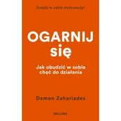Poradniki hobbystyczne - Ogarnij się - miniaturka - grafika 1