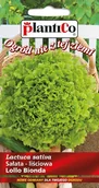 Nasiona i cebule - NASIONA Sałata Liściowa Lollo Bionda 0,5g PLANTICO 404946 - miniaturka - grafika 1