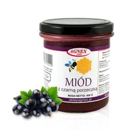 Miód - Miód z czarną porzeczką 400g - miniaturka - grafika 1