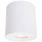 Oświetlenie warsztatowe - Light Prestige Faro XL oprawa natynkowa biała z IP44 LP-6510/1SM XL WH - miniaturka - grafika 1