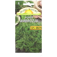Nasiona i cebule - Koper Ambrozja 3 g - miniaturka - grafika 1