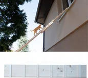 Pozostałe akcesoria dla kotów - QLS DRABINKA SCHODY DLA KOTA WYCHODZĄCEGO DREWNO SCHODKI 1M - miniaturka - grafika 1