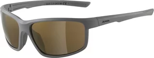 Okulary sportowe - Alpina Alpina Defey Okulary, szary  2022 Okulary 8645321 - grafika 1