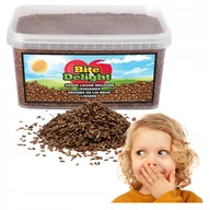 Ziarna i nasiona roślin strączkowych - SIEMIĘ LNIANE BRĄZOWE 2kg CZYSTE DO TŁOCZNIA OLEJU 100% CZYSTOŚCI wiaderko - miniaturka - grafika 1