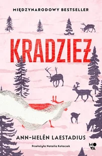 Kradzież - Literatura obyczajowa - miniaturka - grafika 1