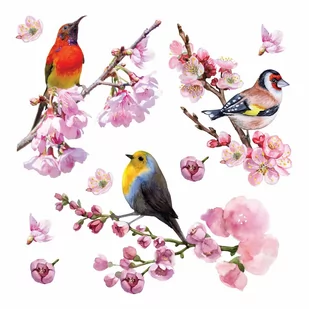 Dekoracja samoprzylepna Birds, 30 x 30 cm - Naklejki na ścianę - miniaturka - grafika 1