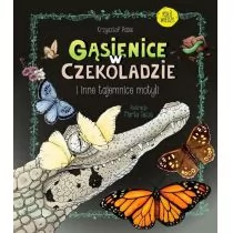 Gąsienice W Czekoladzie I Inne Tajemnice Motyli Krzysztof Pabis - Powieści i opowiadania - miniaturka - grafika 1