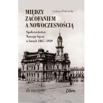 Połomski Łukasz Między zacofaniem a nowoczesnością - Historia świata - miniaturka - grafika 2
