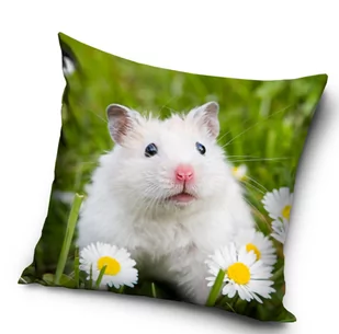 Poszewka na jasiek 40x40 świnka morska - Poszewki na poduszki - miniaturka - grafika 1