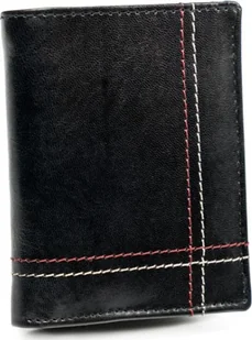 Always Wild Mały portfel dla mężczyzny Always Wild skórzany - Portfele - miniaturka - grafika 1