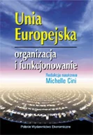 Ekonomia - Unia Europejska - miniaturka - grafika 1