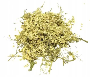 KWIAT CZARNEGO BZU NIEOTARTY 500 G 100% NATURALNY - Przyprawy i zioła sypkie - miniaturka - grafika 1