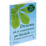 Rośliny i zwierzęta - AMBER Drzewa jak je rozpoznawać po liściach - Meike Bosch - miniaturka - grafika 1