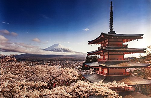 Pyramid Posters Stratowulkan Fudżi Kwiat Wiśni Japonia - plakat 91,5x61 PP34083