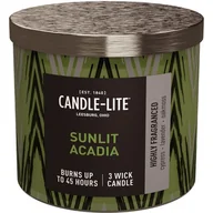 Świece - Świeca zapachowa - Sunlit Acadia (396g) - miniaturka - grafika 1