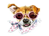 Malowanie po numerach - Haft Diamentowy, Obraz, Mozaika Diamentowa Diamond Painting, Pies Z Apaszką 35X35Cm - miniaturka - grafika 1