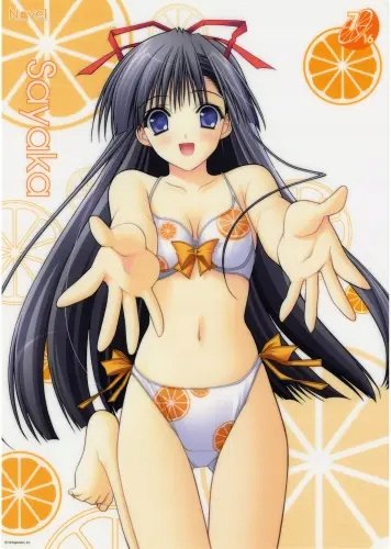 Plakat Anime Manga Soul Link sl_027 A3 (custom)