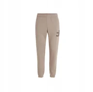 Dresy męskie - Męskie Spodnie FUTURE SURF SOCIETY JOGGER L - miniaturka - grafika 1