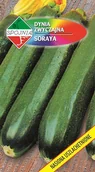 Nasiona i cebule - NASIONA Dynia Zwyczajna Cukinia Soraya 5g SPÓJNIA 400595 - miniaturka - grafika 1