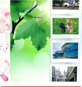 Albumy fotograficzne - Caiul Wiszący Album Ścienny Na 5 Zdjęć 11 X 8 Cm Wide Photo Album - miniaturka - grafika 1