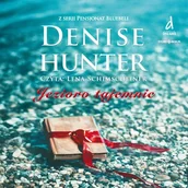 Audiobooki - literatura piękna - Pensjonat Bluebell. Tom 1. Jezioro tajemnic Denise Hunter - miniaturka - grafika 1