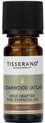 Aromaterapia - Tisserand Aromatherapy Tisserand - Olejek z Drzewa Cedrowego (9 ml) - miniaturka - grafika 1