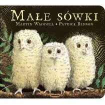 Małe sówki - Literatura popularno naukowa dla młodzieży - miniaturka - grafika 1