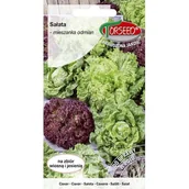 Nasiona i cebule - TORSEED nasiona SAŁATA MIESZANKA ODMIAN  1 G - miniaturka - grafika 1