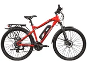 Rowery elektryczne - Rower elektryczny R.EVOLUTION Anyway E200 - miniaturka - grafika 1