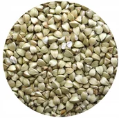 Kasza - KASZA GRYCZANA niepalona 25kg biała - miniaturka - grafika 1