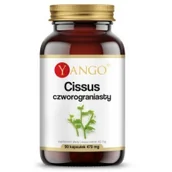 Suplementy naturalne - YANGO Yango Cissus Czworograniasty 470 mg 90 k YA518 - miniaturka - grafika 1