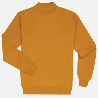 Swetry męskie - Półgolf męski żółty Blois - marka niezdefiniowana - grafika 1