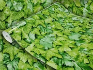 Tapety - Samoprzylepna Okleina Meblowa Latorośl Na Meble Komodę Regał Szafkę 45x740 - miniaturka - grafika 1