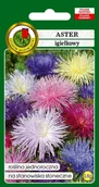 Nasiona i cebule - Aster igiełkowy mieszany 0,8 g PNOS - miniaturka - grafika 1