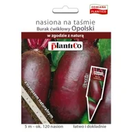 Nasiona i cebule - Plantico Burak - nasiona na taśmie 5m - miniaturka - grafika 1